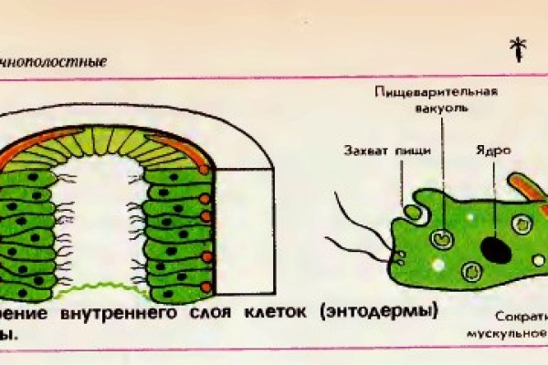 Ссылка на кракен в тор на сегодня