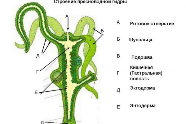 Кракен упал