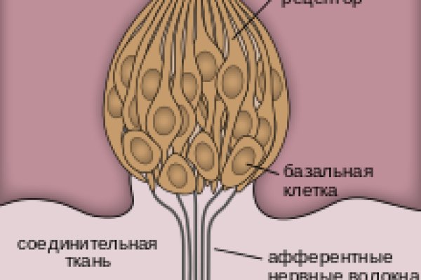 Кракена net